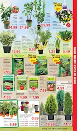 Aktueller Jawoll Prospekt mit Blumentopf, "Sonderposten-Märkte", Seite 5