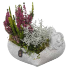 Arrangements Allerheiligen Herz im Angebot bei Garten-Center Nordharz GmbH & Co. KG in Braunschweig Arrangements Allerheiligen Herz Angebote bei Garten-Center Nordharz GmbH & Co. KG Braunschweig für 16,99 €