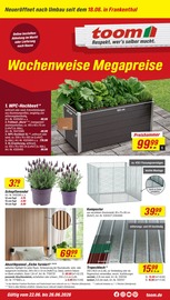 Blumen im toom Baumarkt Prospekt in Frankenthal Aktueller toom Baumarkt Prospekt mit Blumen, "Respekt, wer's selber macht.", Seite 7