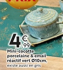 Promo Mini-cocotte porcelaine & email réactif vert Ø10cm à 4,99 € dans le catalogue Maxi Bazar à Mougins