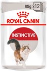 Katzennassfutter im REWE Prospekt Katzennassfutter von Royal Canin im aktuellen REWE Prospekt für 14,99 €