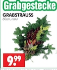Grabstrauss im Angebot bei Wreesmann in Görlitz Grabstrauss Angebote bei Wreesmann Görlitz für 9,99 €
