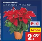 Weihnachtsstern im Angebot bei Netto Marken-Discount in Hagen Weihnachtsstern Angebote bei Netto Marken-Discount Hagen für 2,49 €