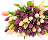 Aktuelles Tulpen „Hot & Fresh“ im Bund Angebot bei Penny in Heilbronn ab 3,99 €