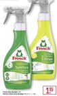 Glas-Reiniger Spiritus Angebote von Frosch bei Marktkauf Friedrichshafen für 1,95 €