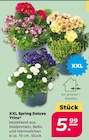 XXL Spring Deluxe Trios bei Netto mit dem Scottie im Brandenburg Prospekt für 5,99 €