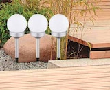 Erdspitz 3-er Set Angebote bei Segmüller Brühl für 7,99 €