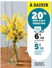 Promo Bouquet Mimosa à 5,19 € dans le catalogue U Express à Saint-Denis-de-l'Hôtel