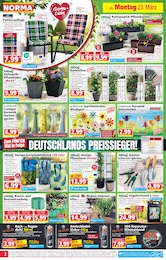 Beeteinfassung Angebot & Preis im aktuellen Norma Prospekt Beeteinfassung Angebot im aktuellen Norma Prospekt auf Seite 2