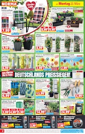 Gartendeko im Norma Prospekt in Hannover Aktueller Norma Prospekt mit Gartendeko, "Mehr fürs Geld", Seite 2