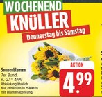 Sonnenblumen im Angebot bei EDEKA in Jena Sonnenblumen Angebote bei EDEKA Jena für 4,99 €