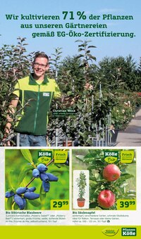 Obstbaum im Pflanzen Kölle Prospekt "Doppelte Liebe, doppeltes Fest!" mit 16 Seiten (Mainz)