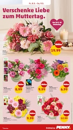 Penny Blumen im Prospekt 