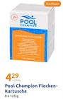 Flocken-Kartusche im Angebot bei Action in Coesfeld Flocken-Kartusche Angebote von Pool Champion bei Action Coesfeld für 4,29 €