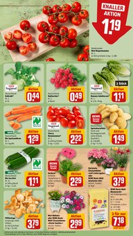 Blumenerde im REWE Prospekt "Dein Markt" mit 31 Seiten (Bottrop)