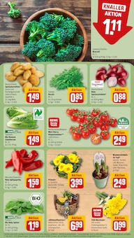 Paprika im REWE Prospekt "Dein Markt" mit 29 Seiten (Wiesbaden)