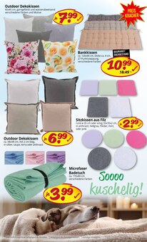 Sitzmöbel im Picks-Raus Prospekt "1000 GELEGENHEITEN FÜR HAUS, HOBBY UND GARTEN" mit 8 Seiten (Pforzheim)