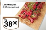 Lammfiletspieß im Angebot bei GLOBUS in Gera Lammfiletspieß Angebote bei GLOBUS Gera für 38,90 €