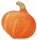 Bio-Speisekürbis Hokkaido Angebote bei EDEKA Passau für 1,69 €