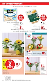 Plante Verte en promo dans le catalogue Super U à la page 40
