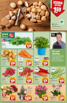 Gemüse im aktuellen REWE Prospekt (Neuss) Gemüse im REWE Prospekt "Dein Markt" mit 34 Seiten (Neuss)