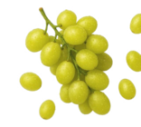 Kaufland Buckenhof - Ital./span. Tafeltrauben, hell Angebot im Prospekt Ital./span. Tafeltrauben, hell bei Kaufland im Buckenhof Prospekt für 0,99 €