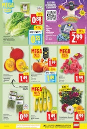 Kürbis im nah und gut Prospekt in Garbsen Aktueller nah und gut Prospekt mit Kürbis, "Aktuelle Angebote", Seite 3
