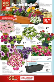 Aktueller Hellweg Prospekt mit Blumentopf, "Entspannt sparen", Seite 20