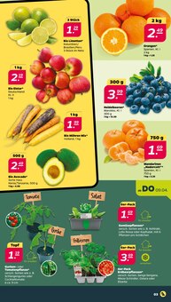 Netto mit dem Scottie Prospekt der aktuellen Woche, gĂĽltig von 07.04.2026 bis 11.04.2026 Aktueller Netto mit dem Scottie Prospekt "GĂĽnstig. Besser. FĂĽr Dich." mit 37 Seiten