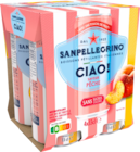 EAU GAZEUSE AROMATISÉE PÊCHE SAN PELLEGRINO - SAN PELLEGRINO - Auchan Hypermarché à Nancy EAU GAZEUSE AROMATISÉE PÊCHE SAN PELLEGRINO - SAN PELLEGRINO en promo chez Auchan Hypermarché Nancy à 2,95 €