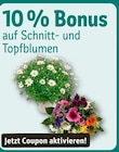 Angebot im REWE Senden Prospekt REWE Senden Prospekt mit im Angebot für