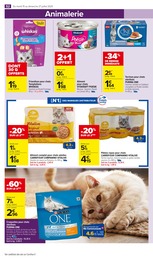 Prix et réduction Alimentation Chat dans le prospectus Carrefour Market en cours Offre Alimentation Chat dans le catalogue Carrefour Market du moment à la page 54