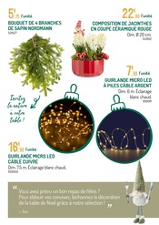 Sapin Nordmann Angebote im Prospekt "LE VILLAGE DE NOËL UNE FORÊT DE MAGIE" von Botanic auf Seite 12