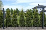 Doppelstabmatte im Angebot bei Hagebaumarkt in Dorsten Doppelstabmatte Angebote bei Hagebaumarkt Dorsten für 29,99 €