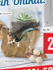 Dekoglas auf Holz im Angebot bei Kaufhaus Stolz in Kiel Dekoglas auf Holz Angebote bei Kaufhaus Stolz Kiel für 29,99 €