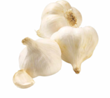 Bio Knoblauch Angebote von BioBio bei Netto Marken-Discount Gera für 1,00 €