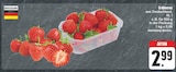 Angebot im EDEKA Bitterfeld-Wolfen Prospekt EDEKA Bitterfeld-Wolfen Prospekt mit im Angebot für 2,99 €