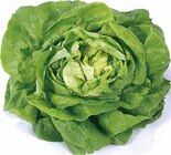 EDEKA - Kopfsalat Angebot im Prospekt Kopfsalat bei EDEKA im Prospekt "" für 1,29 €