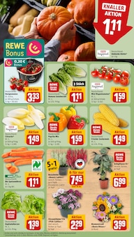 Pflanzen im aktuellen REWE Prospekt (Bielefeld) Pflanzen im REWE Prospekt "Dein Markt" mit 26 Seiten (Bielefeld)
