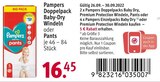 Doppelpack Baby-Dry Windeln oder Pants bei Rossmann im Prospekt "Mein Drogeriemarkt" für 16,45 €