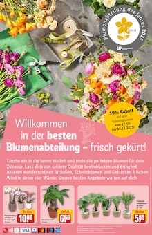 Aktueller REWE Egelsbach Prospekt REWE Prospekt Egelsbach "Dein Markt" mit 44 Seiten