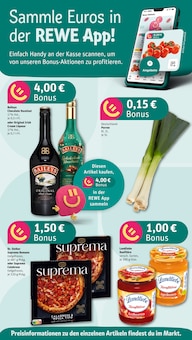 Aktueller REWE Prospekt "Dein Markt" Aktueller REWE Prospekt