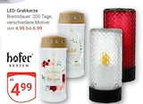 LED-Grabkerze im Angebot bei GLOBUS in Jena LED-Grabkerze Angebote von hofer bei GLOBUS Jena für 4,99 €