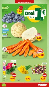 Blumen im Penny Prospekt "Wer günstig will, muss Penny." mit 40 Seiten (Oberhausen)