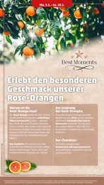 Pute Angebot im aktuellen Penny Prospekt auf Seite 8