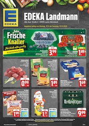Bier im EDEKA Prospekt in Aue Aktueller EDEKA Prospekt mit Bier, "Wir lieben Lebensmittel!", Seite 1