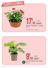 Offre Carnaval dans le catalogue Botanic du moment à la page 8