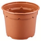 Anzuchttöpfe Angebote von Parkside bei Lidl Neustadt für 1,99 €