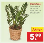 Netto Marken-Discount Tharandt - Glücksfeder Angebot im Prospekt Glücksfeder bei Netto Marken-Discount im Tharandt Prospekt für 5,99 €