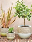 POT OEUF Ø 20 CM en promo chez Hyper U POT OEUF Ø 20 CM dans le catalogue Hyper U